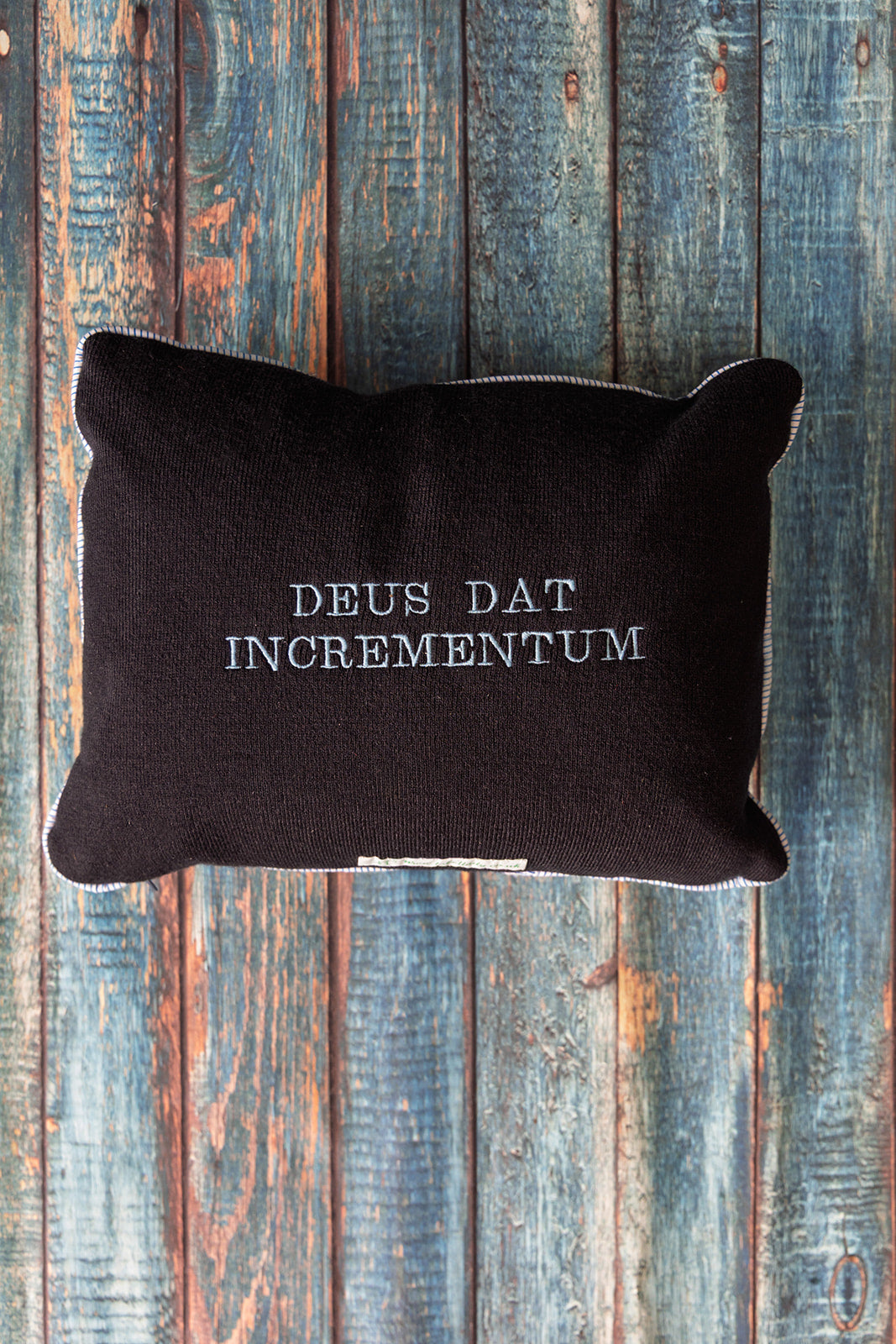 Marlborough College House Swipe Cushion